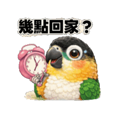 黑頭凱克～2真鳥風