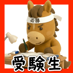 がんばる受験生うまくいく!