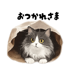 kitty_20260111215520