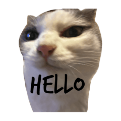 riara_20260111221613