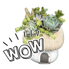 natur_20260111220447