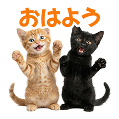 Tora & Kuro Daily Stickers