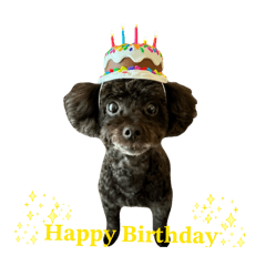 komachi_20260110125413