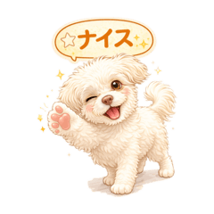 Drooping ears ChihuaPoo