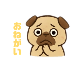 danyui_20260112013607