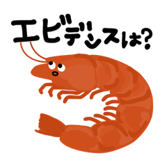 HAKUNAMATATER_20260112012124