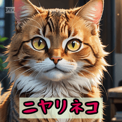 「ゆるかわ日常リアクション」