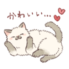 Cats - convey their feelings