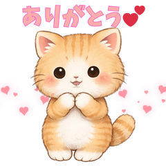 Thoughtful Fluffy Cat Stickers