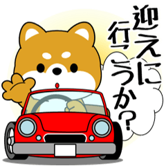 Pop-up! Mameshiba "Family Contact"