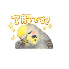 yuu12_20260112091642