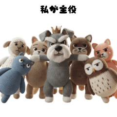 Attention Seeker King Shuna Schnauzer