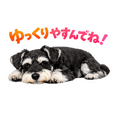 らてくんすたんぷ3