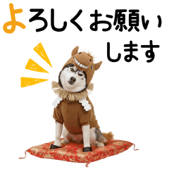 DOG  GOOD  Sticker192