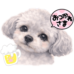 Rei_20260112134847