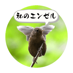 mitsuo_20260110194649