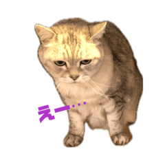 usu_20260112143356