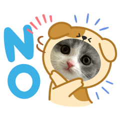 nekoU_20260112112343