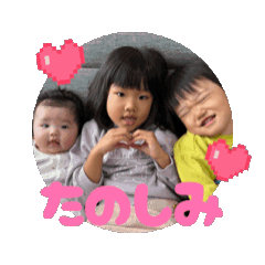 sheep_20260113003253