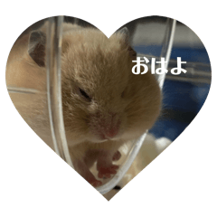 sayumi_20260112115312