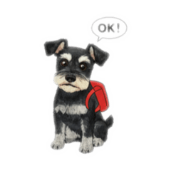 masshun_20260112145349