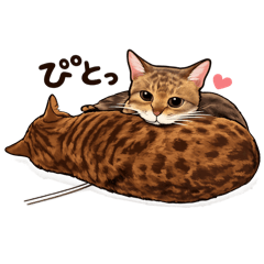 imunamu_20260112122039