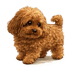 pikitaki_20260112182922