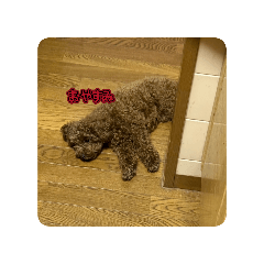 masaki_20260112182946