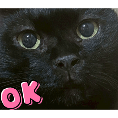 YUKINA_20260112183554