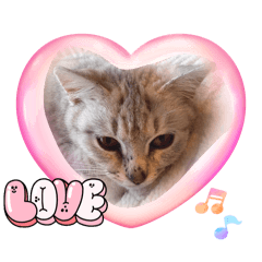 yoppi_20260112183806