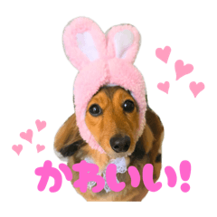 natsumi_20260112150743