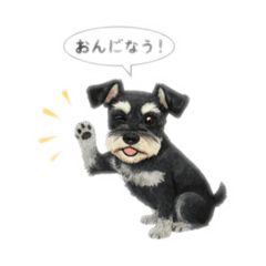 masshun_20260112151732