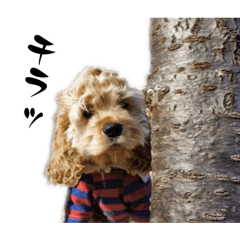 Mochi_20260112182643