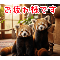 [お疲れ様です専用]レッサーパンダ