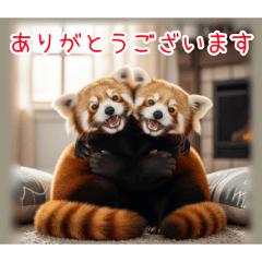 [ありがとうございます専用]レッサーパンダ