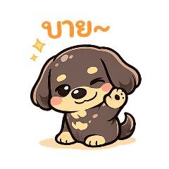 Lazy but Playful Dachshund