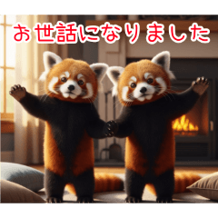 [お世話になりました専用]レッサーパンダ