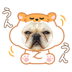 akoakoako_20260112163327