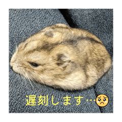 mochi_20260112202628