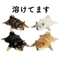 Chubby 3D Shiba 4: Lazy & Polite