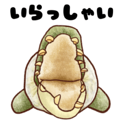 Chikuwani feelings