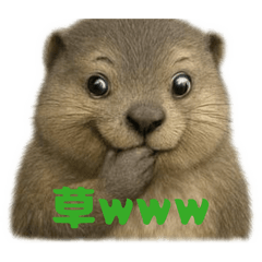 remon55_20260112145908