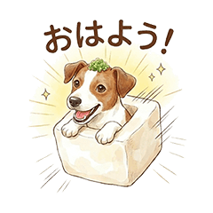 Jack Russell Terrier Tofu dog Chiron