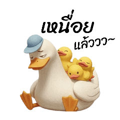 Disigndiaty_20260112135551