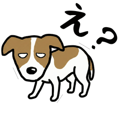 Our family's Jack Russell Terrier2