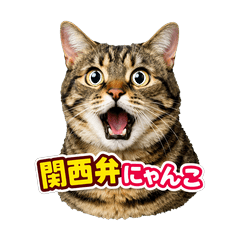 Cat (Kansai dialect 2)