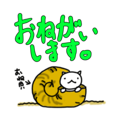 kiitakura_20260112190716
