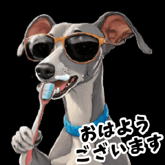 Active!! Rock ItaGre for Everyday Use