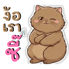 ANCT_NP_20260112151842