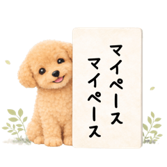 Office MAIGODOG_20260112195045